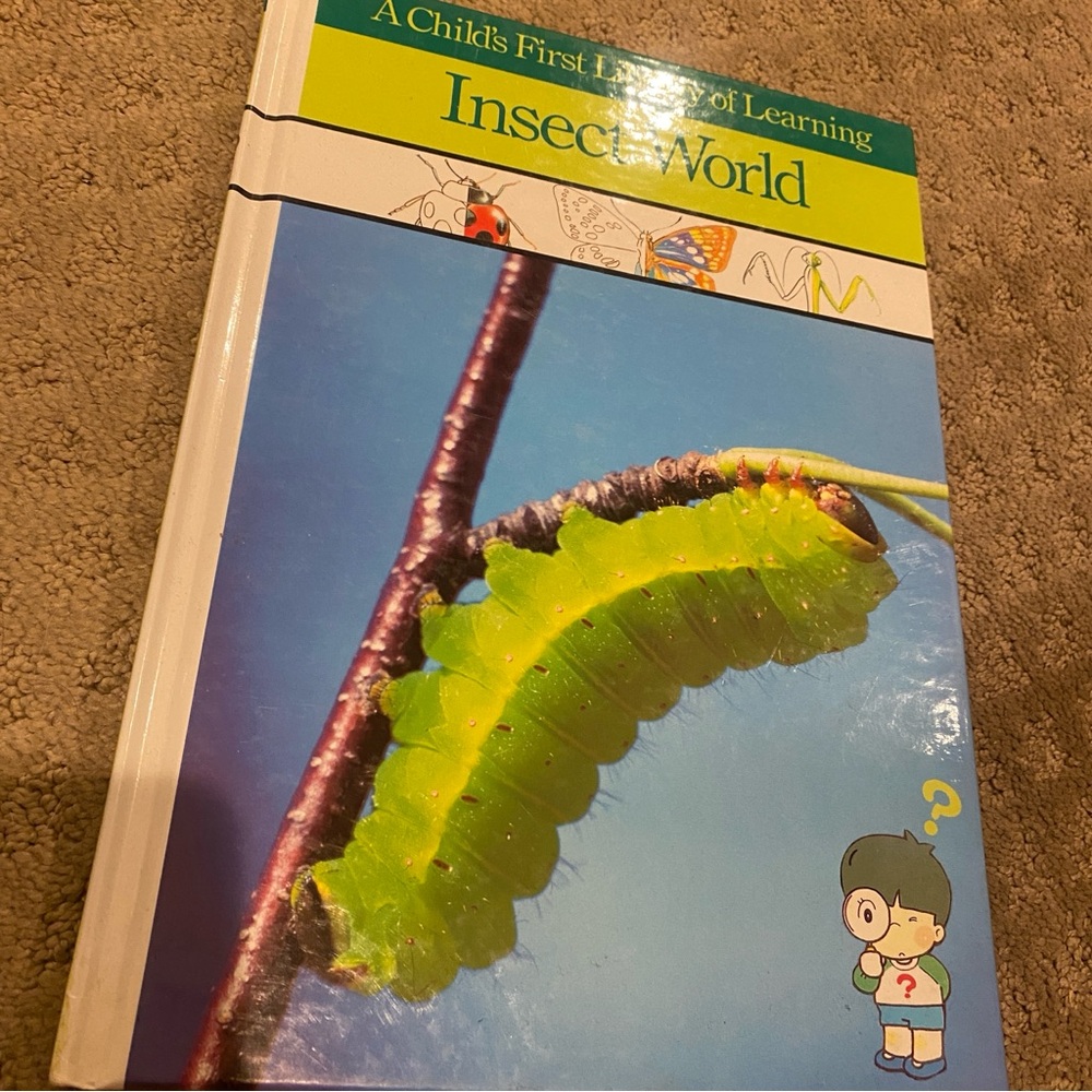 Book, A Child’s First Library of Learning: Insect World